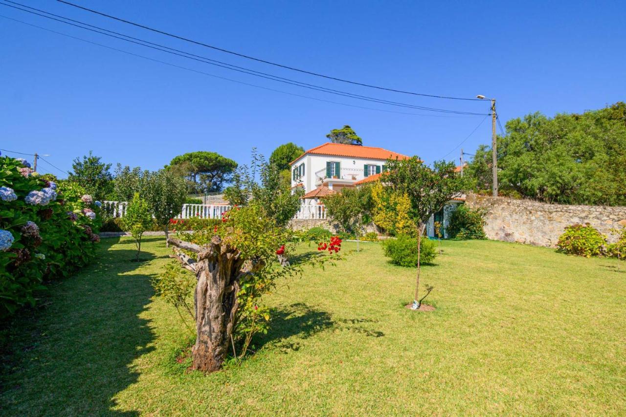 Casa Bacelar Afife Exteriér fotografie